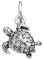 Charm Giovanni Raspini Charms in Argent 11458 - 11458